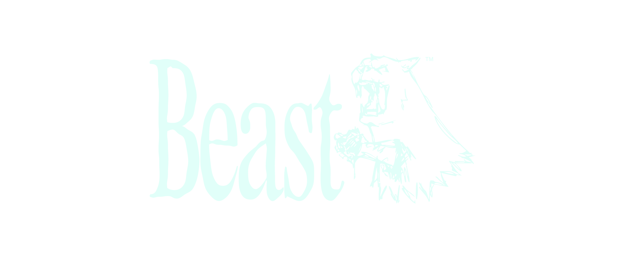 Partner Logo 0