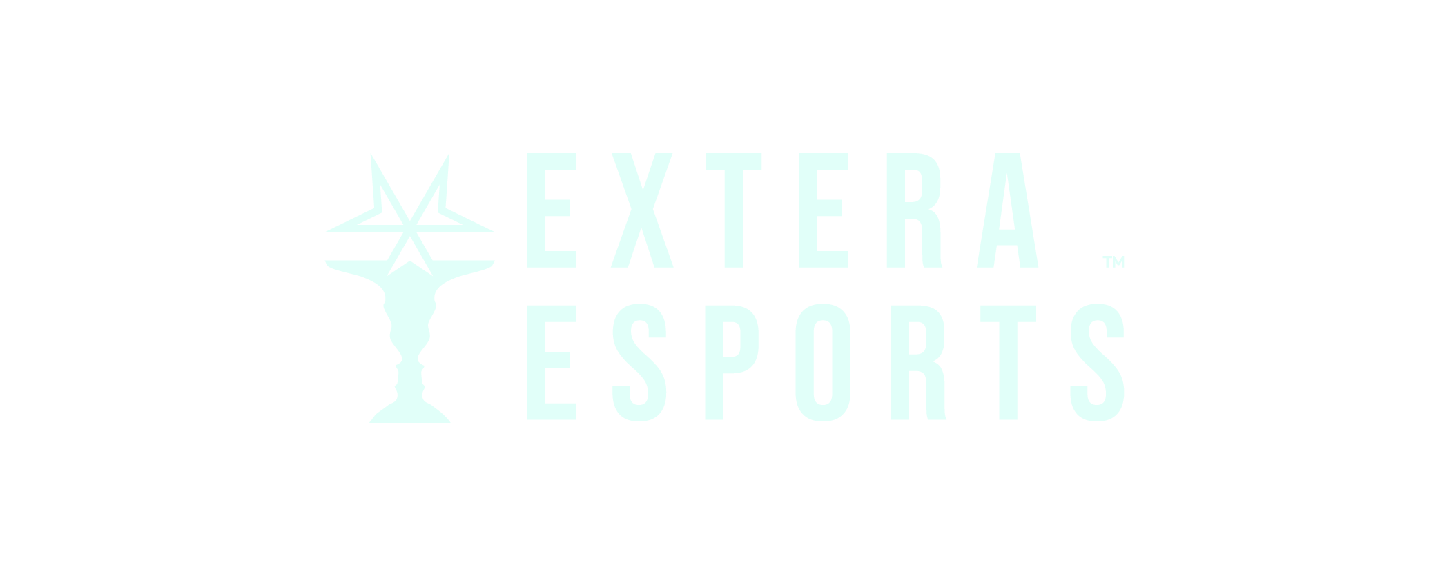 Partner Logo 2